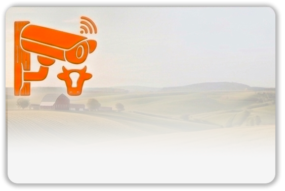 Caméra de surveillance avec une iconographie de vache sur fond de paysage rural.